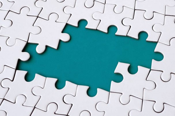 19 نکته 0 تا 100 درباره سگ هاوانیز: دوست کوچک کوبایی