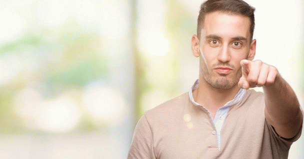 21 نکته کلیدی درباره شاه طوطی (طوطی اسکندر)